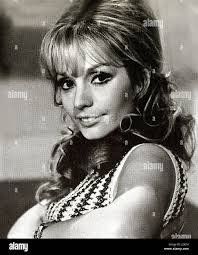 Elmi hi-res stock photography and images