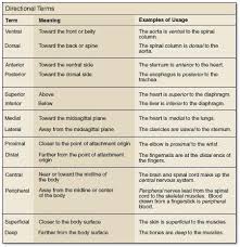 Pin By Eunji Ha On Physical Therapy Notes Vet Medicine Vet Tech Student Vet Tech School