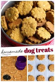 Dog treats and dog treat recipes. Homemade Pumpkin Peanut Butter Dog Treats Cookies Cups