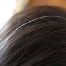 أناقة مغربية افضل الوصفات الطبيعية للتخلص من الشيب نهائيا Dyed Hair Esalon Hair Color Esalon