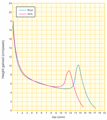 Growth Of The Body Ck 12 Foundation