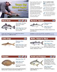 Tampa Bay Ethical Angler Wallet Card Page 1 Size And
