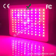 I had a tomato plant that grew from a tomato that had fallen off of my hydroponic unit that i had outside all summer so i thought i'd transplant it and bring it indoors so i can have tomatoes all winter long. Led Ufo Cob Led Grow Light Hot Mini Type 300w Led Grow Light 300w Plant Lights Ce Rohs Fcc Certification Led Aquarium Lamp Light Led Tube Led Light Driverled Neon Light Rope