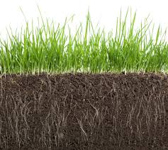 Dating noun verb + grammar a form of romantic courtship typically between two individuals with the aim of assessing the others suitability as a partner in an intimate relationship or as a spouse. Humic Acid And How It Benefits Soil Ecofarming Daily