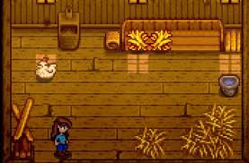 Stardew valley on steam build the coop. Stardew Valley How To Feed Chickens