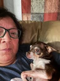 Prayer request for illness recovery in I LOVE CHIHUAHUA community