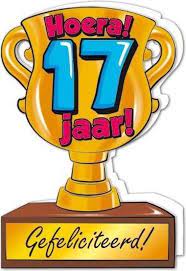 Bol Com Trofee Kaart 17 Jaar