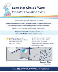 Image result for First Trimester Education