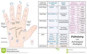 palmistry astrology basic analogies chart stock vector