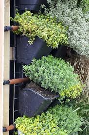 Just be sure you have good soil and drainage. Vertical Vegetable Gardening Rhs Gardening