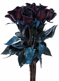 Check spelling or type a new query. Amazon Com Black Roses Bouquet By Flower Explosion Real Fresh Tinted Black Roses 12 Stems Grocery Gourmet Food