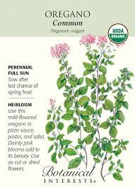 Common Oregano Seeds 100 Mg Organic Herbs Organic Vegetable Garden Oregano Seeds