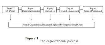 the organizational process