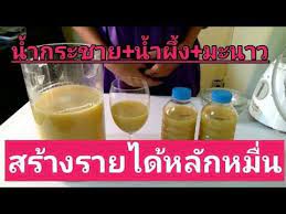 น ำกระชาย น ำผ ง มะนาว สร างรายได หล กหม น youtube มะนาว น ำผ ง ส ตรของหวาน