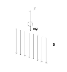 Maybe you would like to learn more about one of these? Sebuah Partikel Bermassa 5 Gr Diletakkan Pada Daerah Medan Listrik Arah Ke Bawah Dengan Besar Brainly Co Id