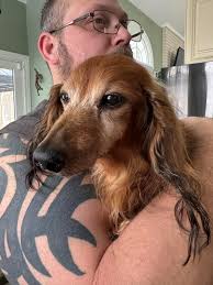 My sweet Molly, I thought we had more time. 😓 It's been almost a month. We  miss you baby girl. 💔