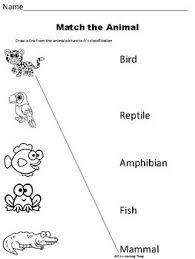 Animal Classification Matching Worksheet Animal Classification Animal Classification Worksheet Animal Classification Activity