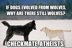 If Dogs Evolved From Wolves Why Are There Still Wolves Checkmate Atheists Dog Wolf Quickmeme