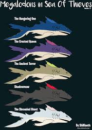 The megalodon is a fast and fierce fighter that will circle any ships looking to kill it. Sea Of Thieves Megalodons With Pictures Shillianth Gaming