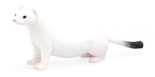 We did not find results for: Animal Planet Ermine Weasel 387164