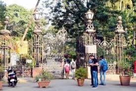 Now, a Horniman Circle festival, on the ...