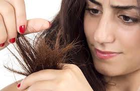 Masques Maison Faciles Pour Les Cheveux Secs Masque Cheveux Secs Cheveux Secs Masque Cheveux
