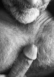 vintage-bear-art-cock – The HaPenis