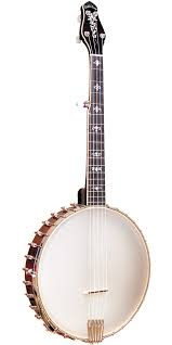 Ceb 5 5 String Cello Banjo Gold Tone Folk Instruments