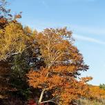 Hopkins Stream Fall Paddle