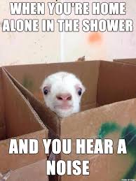 Cute Funny Baby Goat Meme When You Re Home Alone In The Shower And You Hear A Noise Funny Animal Jokes Really Funny Memes Funny Dog Memes