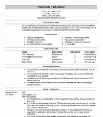 erp consultant resume example