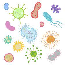 The Gut Brain Connection Selene River Press Food Allergies Good Gut Diet Bacteria