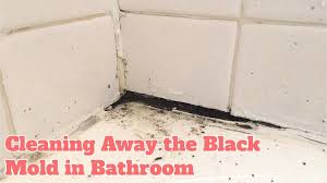 black mold in bathroom