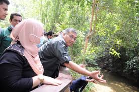 Before office now guess room. Taman Negara Pahang Sg Relau Merapoh Pahang Dr Shamsul Anuar Nasarah