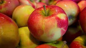 We did not find results for: 5 Jenis Apel Yang Bagus Untuk Diet Bantu Kontrol Berat Badan