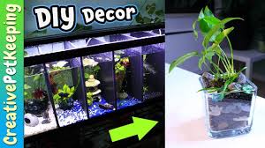 Betta Fish Tank Decorations Diy Aquarium Plant Planters Youtube Fish Tank Decorations Planted Aquarium Diy Fish Tank