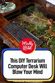 This Diy Terrarium Computer Desk Will Blow Your Mind In 2020 Terrarium Diy Computer Desk Diy