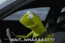 Kermit Surprised Gifs Tenor In the annals of popular culture, there are few characters as universally beloved as kermit the frog. kermit surprised gifs tenor