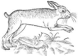 498 mb 6900 x 5328. Https Www Nlm Nih Gov Exhibition Sciencemagicmedicine Pdf Color The Patronus Coloring Book 508 Pdf