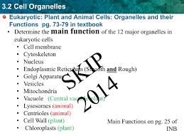 Maybe you would like to learn more about one of these? 3 2 Cell Organelles