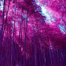 398,000+ vectors, stock photos & psd files. Wallpaper Of The Week Abdz