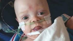 Fundraiser for Brittney Kolvek by Michelle Michael : Support for Remi