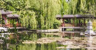 In 1991, the park was renamed to erholungspark marzahn. Der Chinesische Garten In Den Garten Der Welt