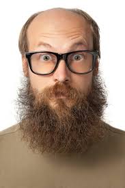 Crazy Albert. stock image. Image of humor, albert, caucasian