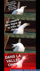 Eukalyptus Hochzeit Teil 2 Tischgirlande Selber Binden Image Fun Funny Jokes Geek Humor