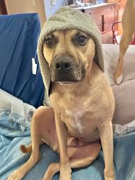 Can anyone tell me why he's behaving this way? 🤷‍♀️😅