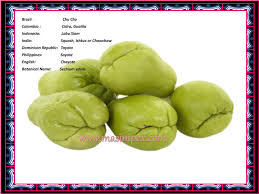 Contdict.com > indonesian english online translator. Chayote 500g Indian And African Grocery Store