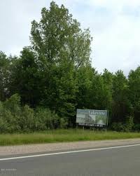 It is a spiritual successor to the lakeview cabin collection. 9784 M 46 Highway Lakeview Mi 48850 18006935 Re Max Of Michigan