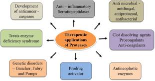 Maybe you would like to learn more about one of these? A Systematic Reconsideration On Proteases Sciencedirect