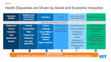 Image result for Examples of health disparities